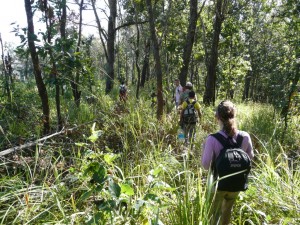 TR Trekking No path