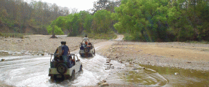 Jeep-Safari-in-Ladakh